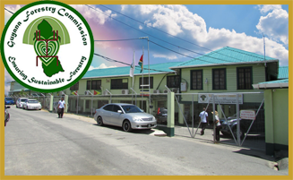 Guyana ForestryCommission