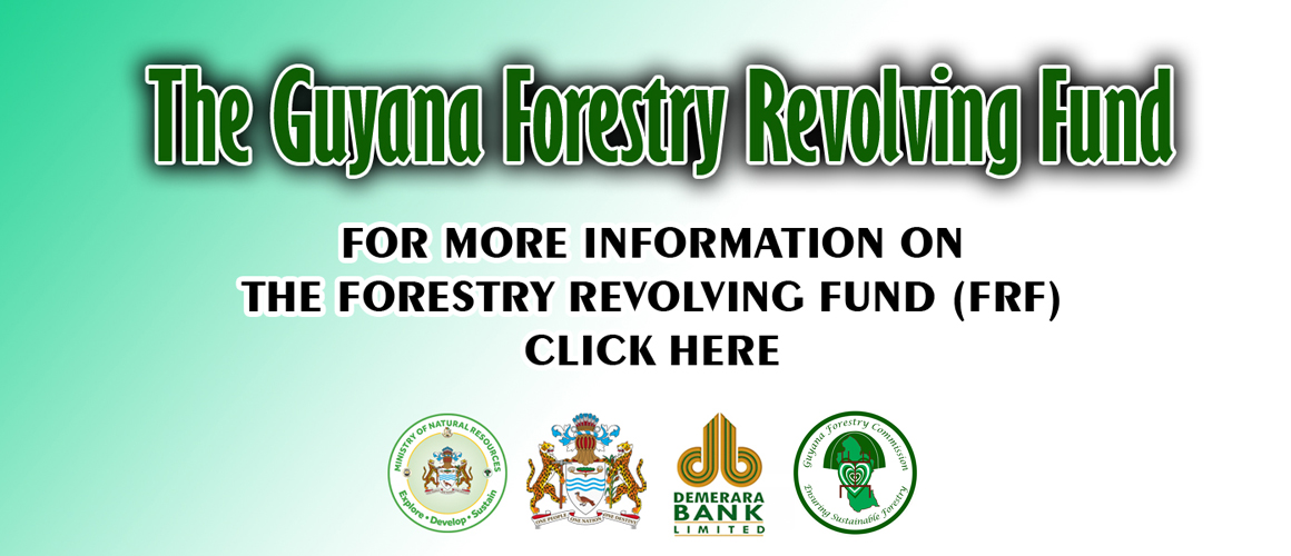 <strong>Forestry Revolving Fund</strong>