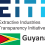 Individual Consultancy Services for the Support for Guyana EITI in the implementation of Beneficial Ownership Roadmap in Guyana